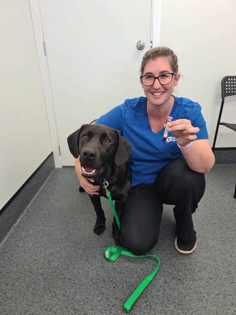Vet Nurse Clinics