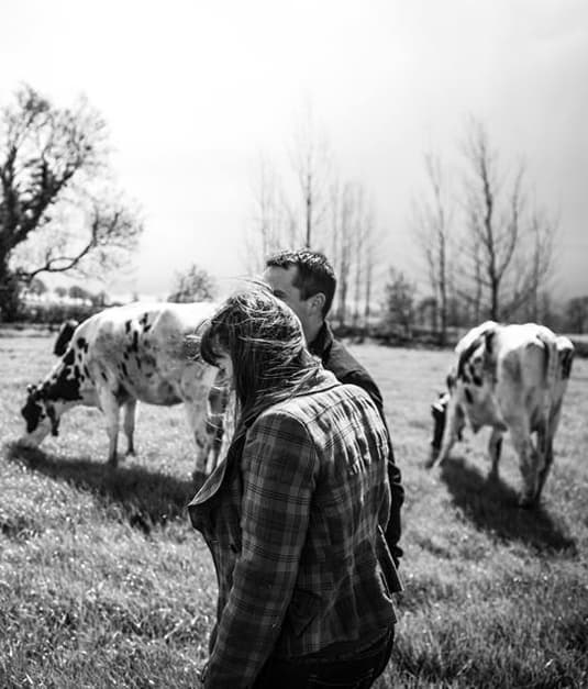 Daniel and Katie Davison with their cows on their Te Awamutu farm