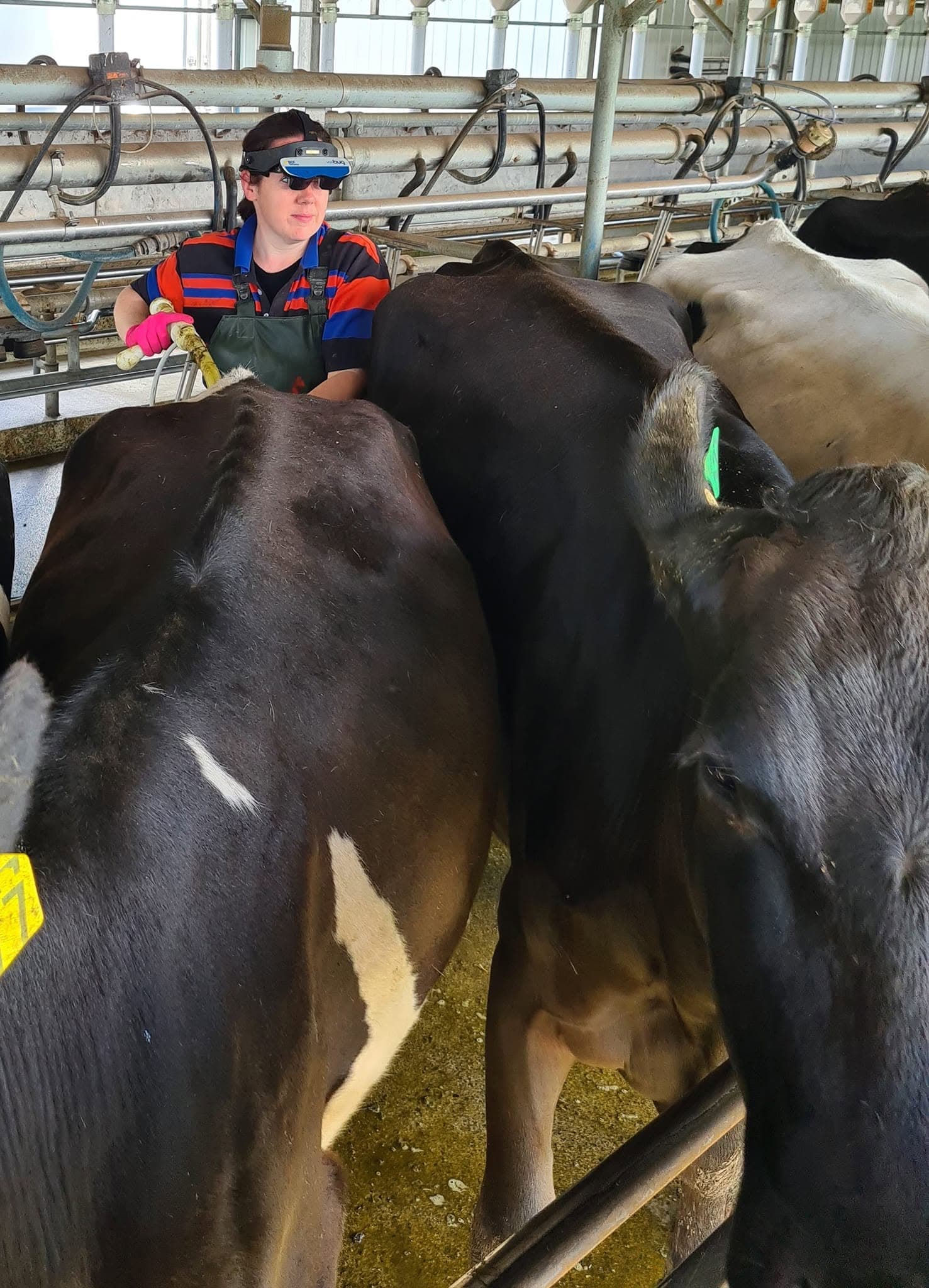 Dairy Reproduction & Fertility