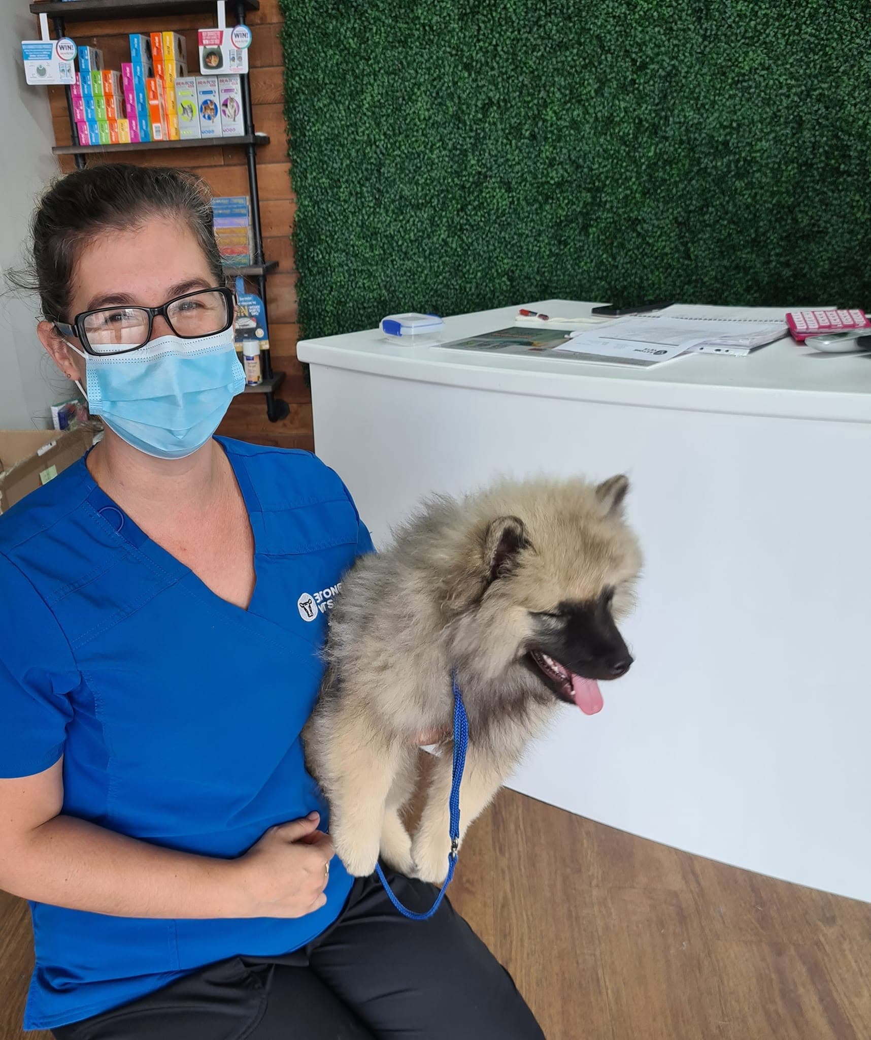Microchipping