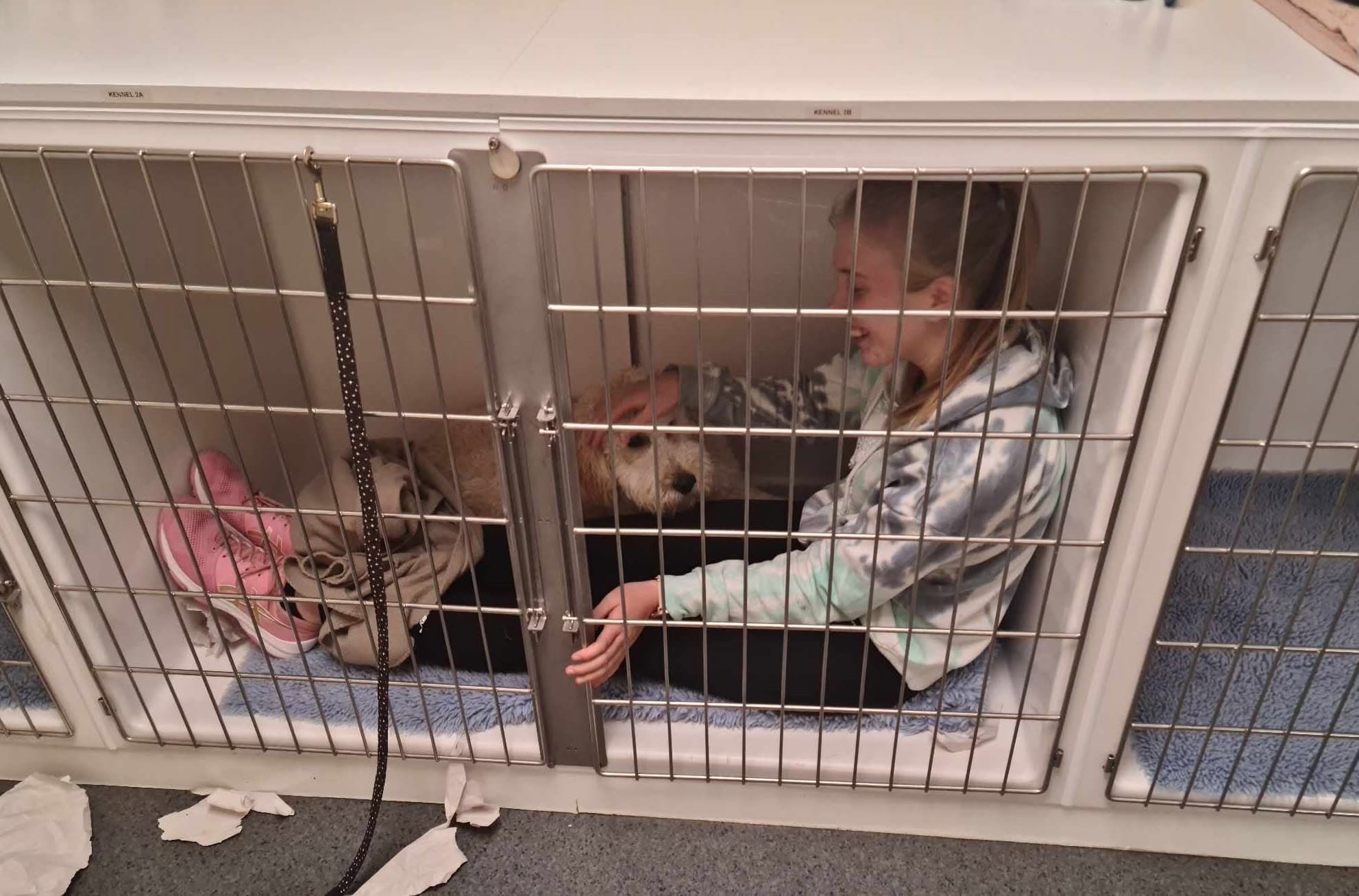 A family dog at home
