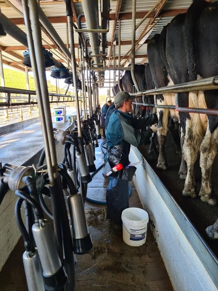 Milk Quality