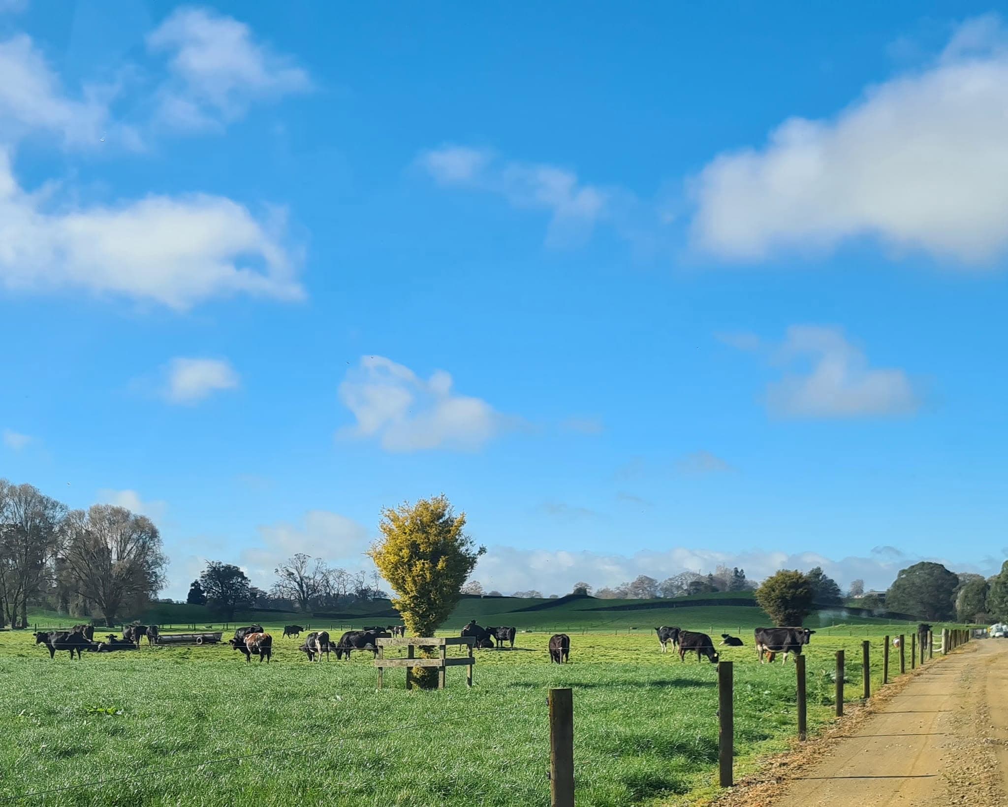WelFarm Herd Monitoring