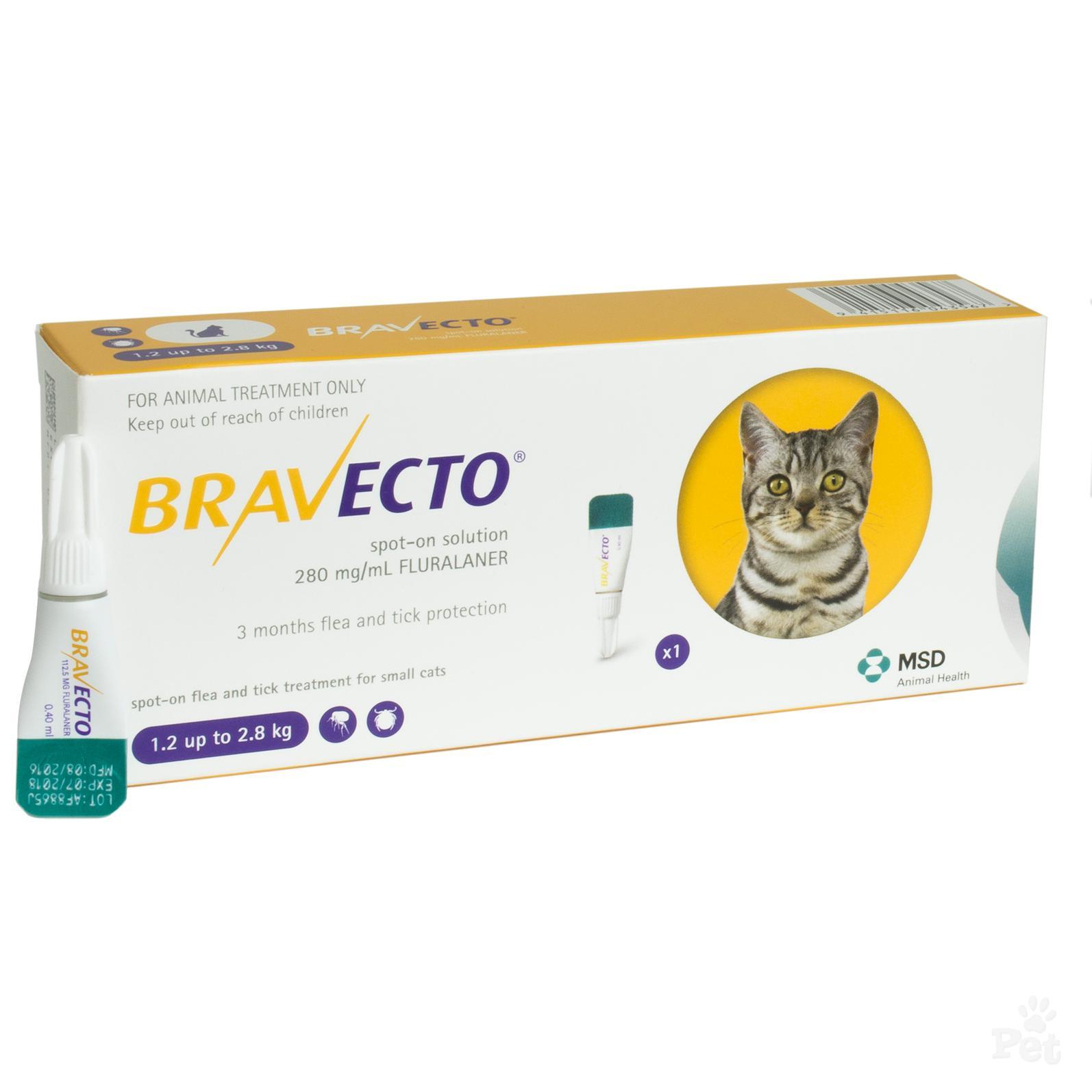 bravecto for cats